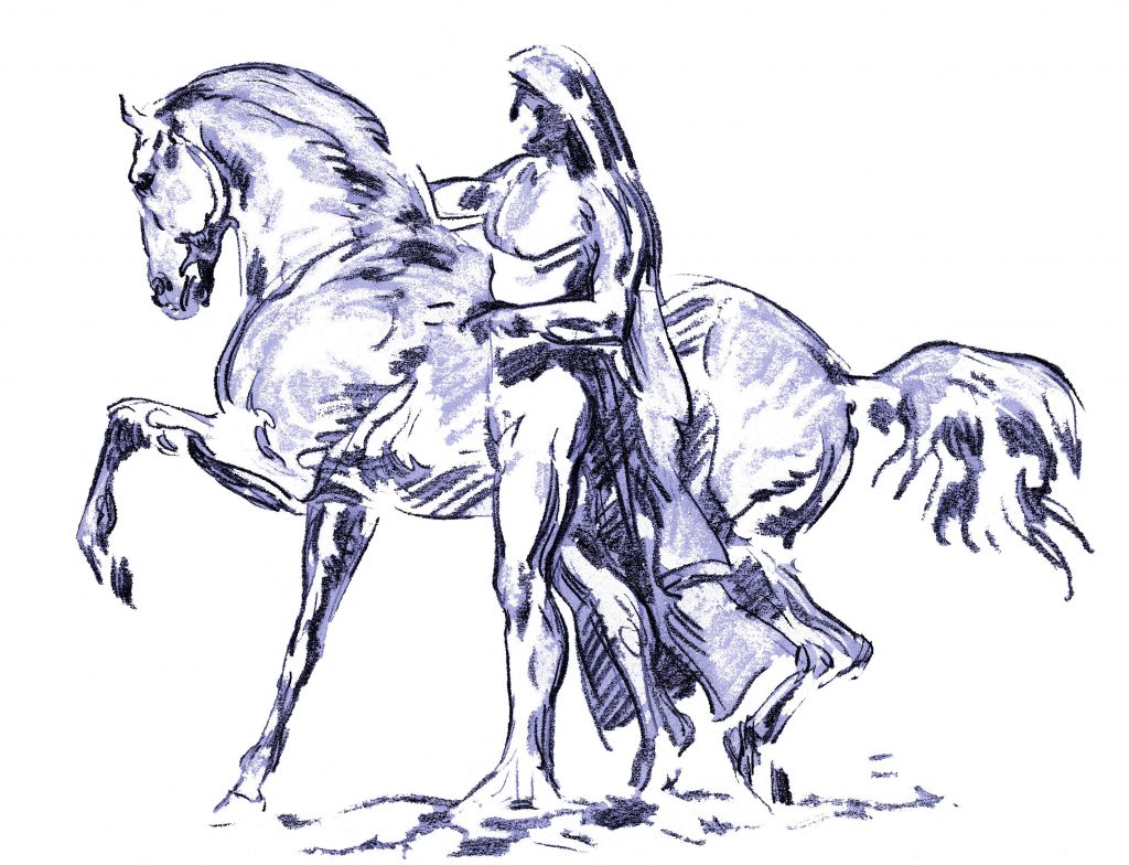 shiatsu pour chevaux