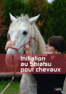 livre christelle pernot