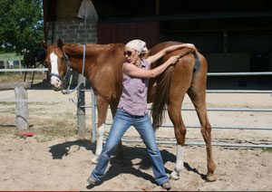shiastu equin