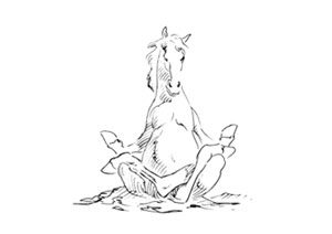 shiatsu cheval