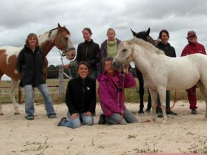 stages d'initiation shiatsu equin